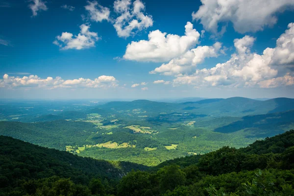 Vue des montagnes Blue Ridge et de la vallée de Shenandoah depuis Skyl — Photo