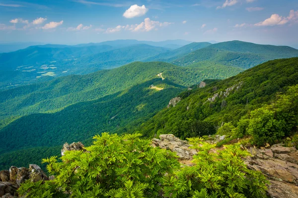 View of the Blue Ridge Mountains from Stony Man Mountain in Shen — Stock Photo, Image