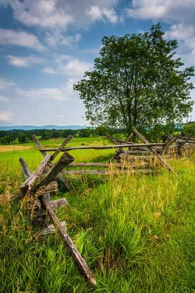 Cerca y árbol en un campo en el campo de batalla nacional de Antietam, Mary — Foto de Stock