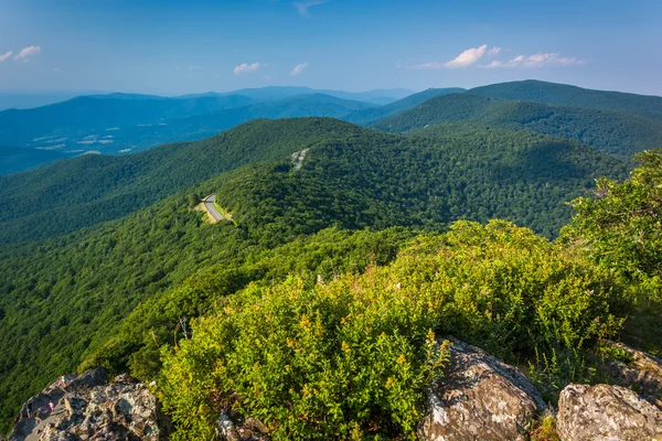 View of the Blue Ridge Mountains from Little Stony Man Cliffs in — Stock Photo, Image