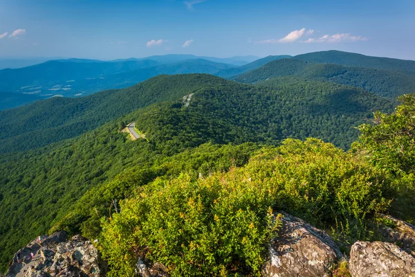 Vista das Montanhas Blue Ridge de Little Stony Man Cliffs em — Fotografia de Stock