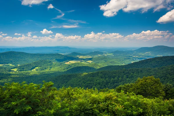 Pohled na Blue Ridge hory a údolí Shenandoah z Skyl — Stock fotografie