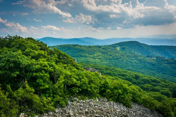 Vista das Montanhas Blue Ridge da Montanha Stony Man em Shen — Fotografia de Stock