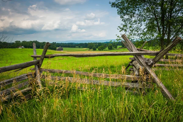 Ограждение и дерево на поле в Antietam National Battlefield, Mary — стоковое фото