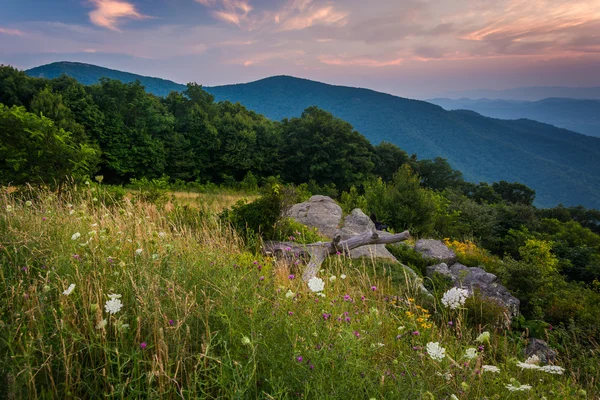 Pôr do sol sobre as Montanhas Blue Ridge, visto de Skyline Drive em — Fotografia de Stock