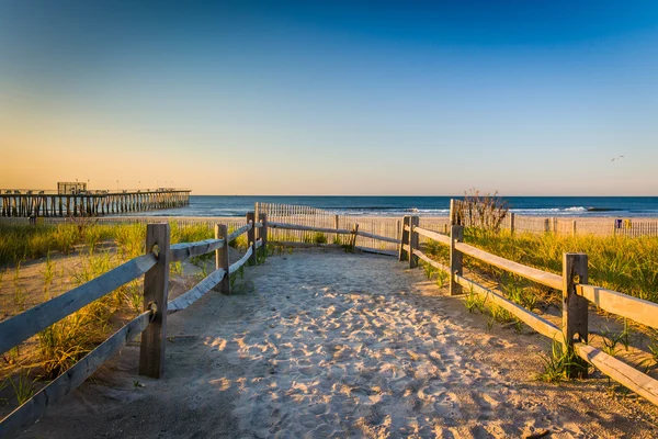 Path over sand dunes to the Atlantic Ocean at sunrise in Ventnor