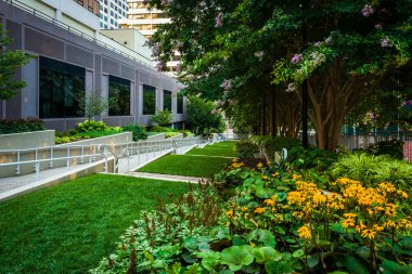 Çiçekler ve ağaçlar özgürlük Park'ta Rosslyn, Arlington, Virgin