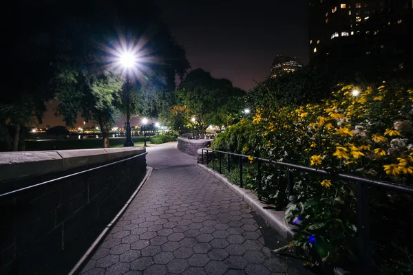 Flores a lo largo de una pasarela por la noche, en el Hudson River Park, en B —  Fotos de Stock