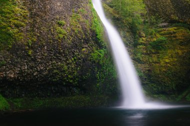 At kuyruğu Falls, Columbia River Gorge, Oregon.