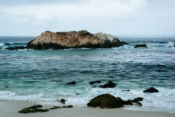 Rocks and waves in the Pacific Ocean, seen from the 17 Mile Driv — Stock Photo, Image