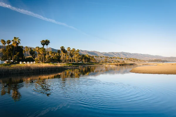 Palm trees and mountains reflecting in Mission Creek, in Santa B — Stock Photo, Image