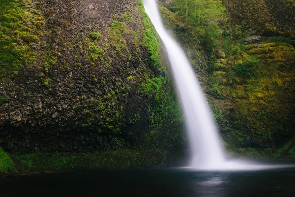 Horsetail Falls, no desfiladeiro do rio Columbia, Oregon . — Fotografia de Stock