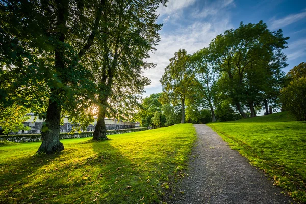 Trees along a path at Suomenlinna, in Helsinki, Finland. — Stock Photo, Image