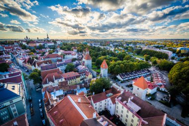 Tallinn, E St Olaf's kilise kulesinde eski şehirden görünümü