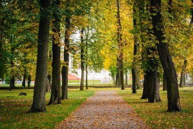 Kadrioru Park, Tallinn, Estonya görülen erken sonbahar renk.