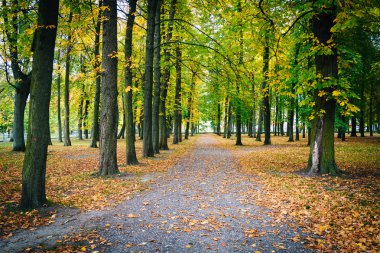 Kadrioru Park, Tallinn, Estonya görülen erken sonbahar renk.