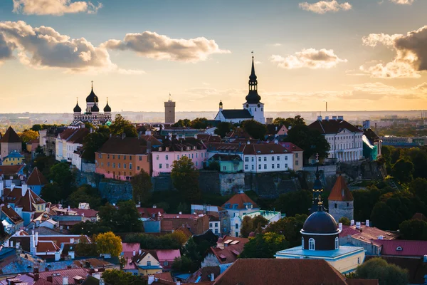 Tallinn, E St Olaf's kilise kulesinde eski şehirden görünümü