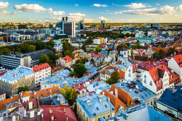 Vista del casco antiguo y edificios modernos distantes desde St. Olaf — Foto de Stock