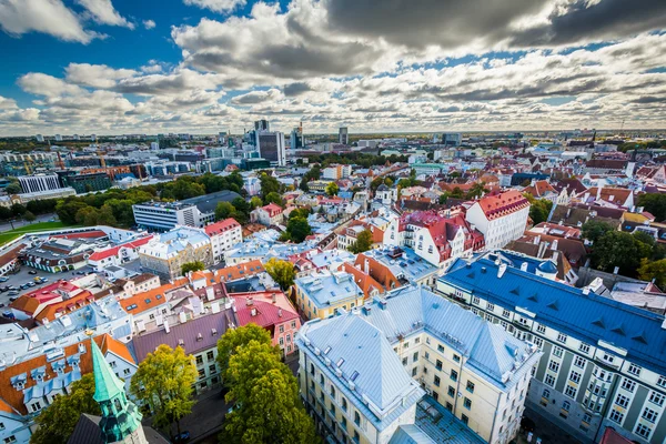 Tallinn St Olaf's kilise kulesinde eski şehirden görünümü,