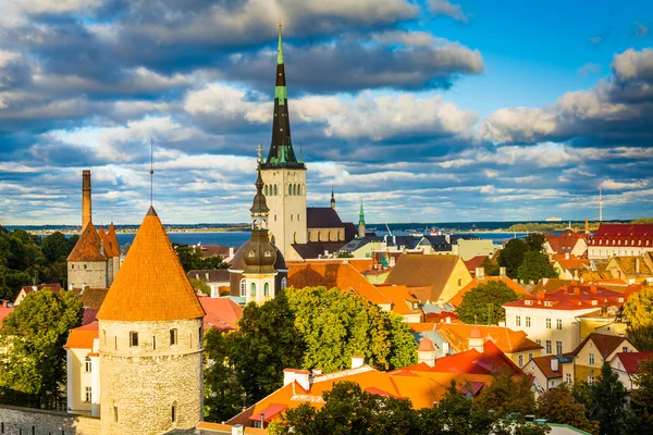 Vista del casco antiguo, desde la plataforma de observación de Patkuli en Toompea H — Foto de Stock