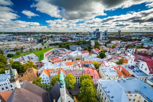 Tallinn St Olaf's kilise kulesinde eski şehirden görünümü,