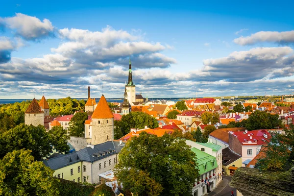 Old Town, Patkuli görüntüleme platformu üzerinde Toompea H dan görünümünü