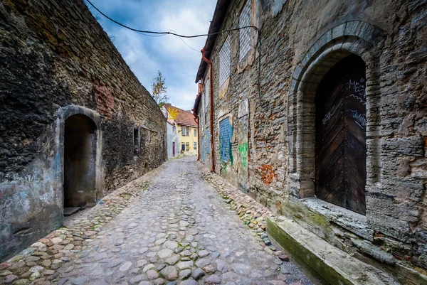 Aida, eine enge Kopfsteinpflasterstraße in der Altstadt, tallinn, esto — Stockfoto