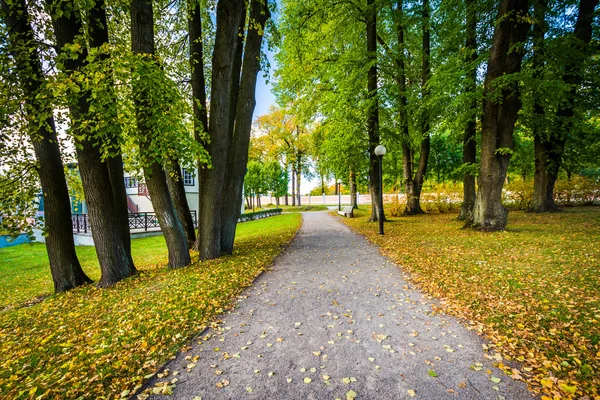 Bir geçit Kadrioru Park, Tallinn, Estonya.
