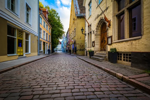 Pikk, una estrecha calle empedrada en el casco antiguo de Tallin, Es —  Fotos de Stock