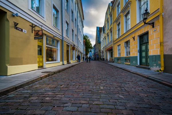 Pikk, una estrecha calle empedrada en el casco antiguo de Tallin, Es —  Fotos de Stock