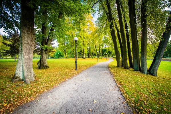 Μια διάβαση πεζών στο Kadrioru Park, στο Ταλίν, Εσθονία. — Φωτογραφία Αρχείου
