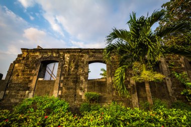 Palmiye ağacı ve tarihi surlarının Fort Santiago, Intramuros, Ma
