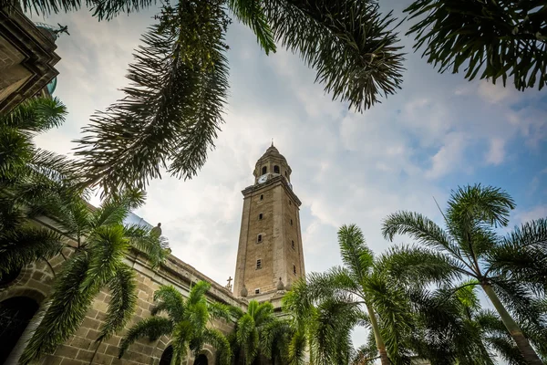 Palm trees and the Manila Cathedral, in Intramuros, Manila, The — Stock Photo, Image