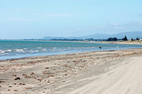 Yeni Zelanda kıyı Beach