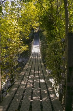 ormandaki Swing Köprüsü