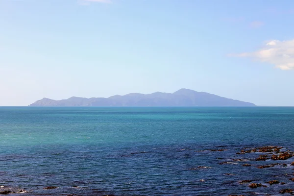Kapiti Adası, wellington, Yeni Zelanda.