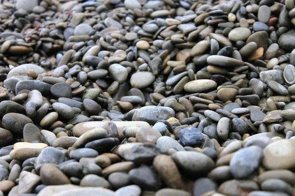 Stony Beach — Stock Photo, Image