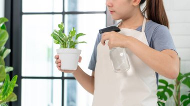 Çekici genç Asyalı kadın pencerenin yanındaki saksıları sulıyor, ev konseptinde bahçıvanlık yapıyor..