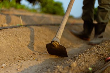 Bahçıvanlık kavramı. Erkek bir çiftçi, bitkileri yetiştirmek için sebze tarlaları yapmak için toprağı çapalıyor..