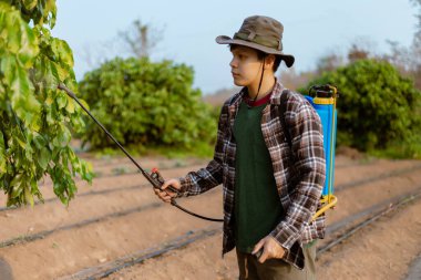 Bahçıvanlık konsepti. Genç bir çiftçi haşerelerden ekinleri uzak tutmak için kimyasal böcek ilacı sıkıyor..
