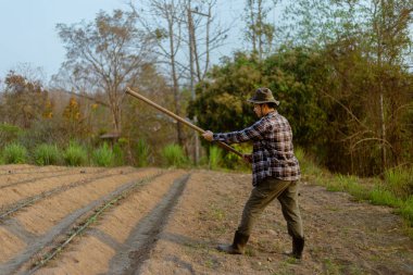Bahçıvanlık kavramı. Erkek bir çiftçi, bitkileri yetiştirmek için sebze tarlaları yapmak için toprağı çapalıyor..