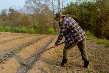 Bahçıvanlık kavramı. Erkek bir çiftçi, bitkileri yetiştirmek için sebze tarlaları yapmak için toprağı çapalıyor..