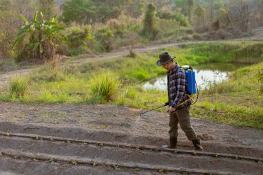 Bahçıvanlık konsepti. Genç bir çiftçi haşerelerden ekinleri uzak tutmak için kimyasal böcek ilacı sıkıyor..