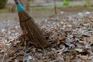 Bahçıvanlık kavramı. Erkek bahçıvan, hindistan cevizi yapraklı süpürge kullanıyor. Bölgeyi temizlemek için düşen yaprakları topluyor..