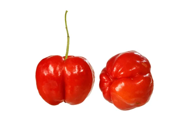 Vruchten van de Acerola kers — Stockfoto