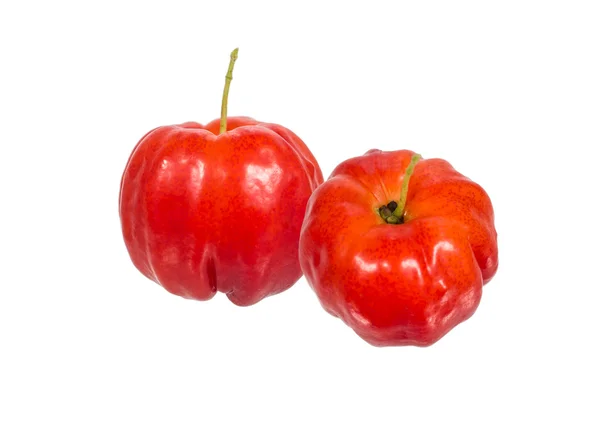 Acerola-Frucht — Stockfoto