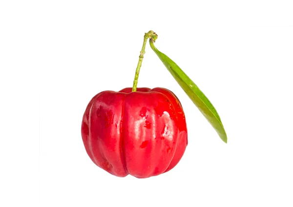 Acerola fruit — Stock Photo, Image