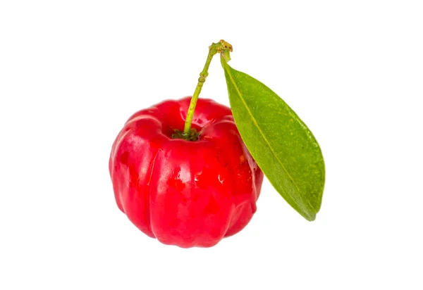 Acerola frukt Stockfoto