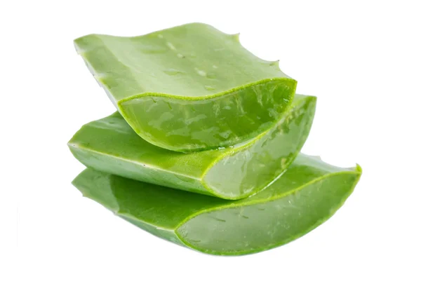 Aloe vera — Photo