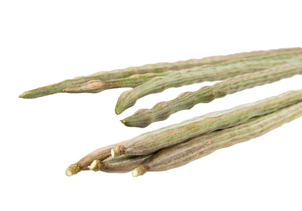 Moringa oleifera 램 또는 쓴 오이-중국 — 스톡 사진